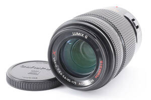 ★極上品★パナソニック Panasonic LUMIX G 45-175mm F4-5.6 X VARIO #2310302