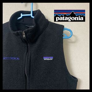 【美品】patagonia bettersweater 黒