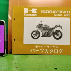 ●（R51015 BO）25 ER250DFF/DGF/DHF/DHFA Z250 ABS パーツリスト パーツカタログ PARTS LIST PARTS CATALOGUE 送料無料の画像1