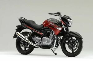 SALE 新品　即日発送　Realize スズキ GSR250 AriaスラッシュTypeS バイクマフラー