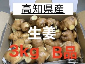 高知県産　生姜　しょうが　B品　3kg