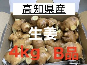 高知県産　生姜　しょうが　B品　4kg