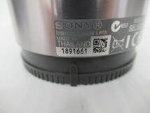 【SONY/ソニー】戌②141//E 4.5-6.3/55-210 OSS_画像10