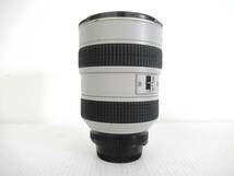 【Nikon/ニコン】戌④243//ED AF-S NIKKOR 28-70mm 1:2.8 D/SILENT WAVE MOTOR_画像7