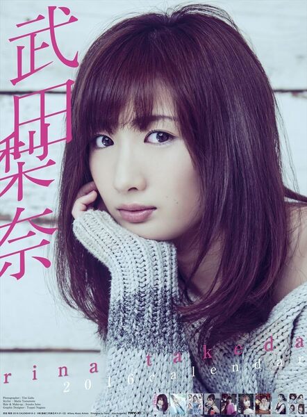 ■新品未開封 武田梨奈 2016年 カレンダー 壁掛け B3サイズ/匿名配送/ゆうパック送料込み