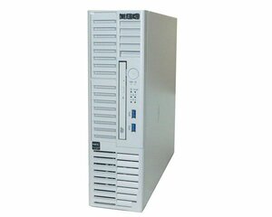 NEC Express5800/T110j-S (N8100-2797Y) Pentium Gold G5420 3.2GHz メモリ 8GB HDD 1T×2(SATA 3.5インチ) DVD-ROM