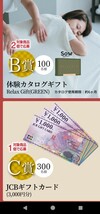 懸賞応募　サロンドプロ　バーコード3枚+専用はがき3枚「癒やしのひととき プレゼントキャンペーン」ダリヤ_画像3