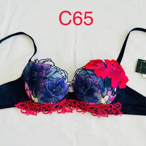 ワコール サルート63G ブラジャー BTJ463