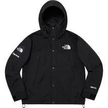 【美品】Supreme x The North Face Arc Logo Mountain Parka Lサイズ／黒／シュプリーム／ザ ノース フェイス アーク（アーチ）ロゴ 2019SS_画像1