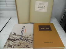 【送料無料】スウェン・ヘディン樓蘭發現 殘紙・木牘書法選　日本書道教育会議編　co-s19.23112480_画像1