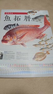 魚拓カレンダー 2024 魚拓暦 釣具店名記載