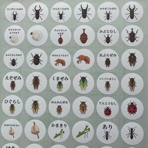 ハンドメイドシール「昆虫」48枚 丸型シール