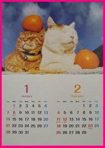 【大きな カレンダー:大きな サイズ:2024:B3:送料無料】★可愛い「猫・子猫」★52x36㎝★こよみ 暦：見開き：No4