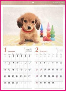 【1冊：大きな カレンダー 2024年:犬:大きな サイズ:A2】★可愛い 子犬:No2★60x42cm：仔犬 いぬ イヌ：壁掛け こよみ 暦:No2