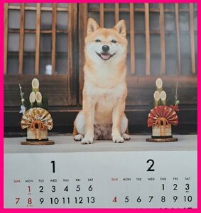 【カレンダー 2024:犬:B3：送料無料】★可愛い 「子犬」★52x36cm：壁掛け★12か月／6面★仔犬・いぬ・イヌ:2024年:D No1