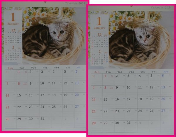 【送料無料：2冊：可愛い カレンダー：ねこ：2024年：A3】★可愛い 子猫：猫：44x29cm：壁掛け★A3：仔猫 ネコ:暦:こよみ
