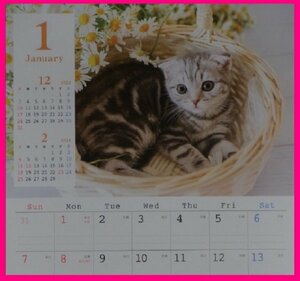 【かわいい「猫」：カレンダー：ねこ：2024年：A3】★可愛い 「子猫」：猫：44x29cm：壁掛け★仔猫 ネコ ：暦・こよみ