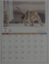 【1冊:2024年:壁掛け カレンダー:可愛い 子猫・猫】★A4 30x21cm：ねこ ネコ 仔猫★暦・こよみ：12面タイプ_画像7