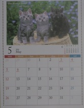 【1冊:2024年:壁掛け カレンダー:可愛い 子猫・猫】★A4 30x21cm：ねこ ネコ 仔猫★暦・こよみ：12面タイプ_画像5