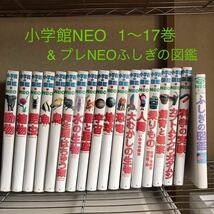 ★全18冊★小学館の図鑑NEO 17巻 & プレNEOふしぎの図鑑_画像1