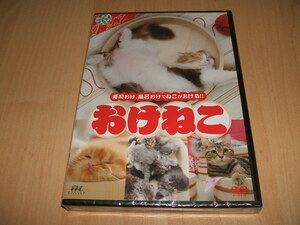 未使用 DVD おけねこ / アレッサンドロ・片倉 テルマエねこ 三毛寿司ニャンモナイト 仔猫ちらし寿司 板前ねこ いい湯だにゃん 華道ねこ