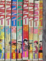 11-124-120　プチフラワー大量!!　1981～昭和レトロ 不揃い 小学館 少女まんが雑誌 ささやななえ/山岸凉子/竹宮恵子/大島弓子/萩尾望都など_画像5