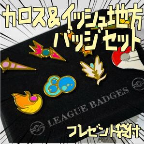 バッジ カロス＆イッシュ　ポケモンリーグ ジムリーダー　リボン袋付【残3のみ】