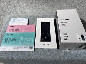 【SDカード付】SONY WALKMAN NW-A25 ウォークマン　中古　イヤホンなし