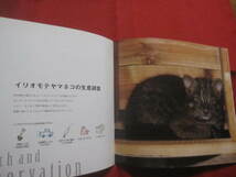 ☆Ｉｒｉｏｍｏｔｅ　　Ｃａｔ　　　　イリオモテヤマネコ　　ＢＯＯＫ　　　　　　【沖縄・琉球・自然・生物・動物・天然記念物・西表島】_画像8