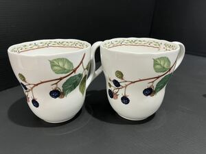 D(1113k8) Noritake ノリタケ ロイヤルオーチャード マグカップ 2客 セット earthenware アーセンウェア 