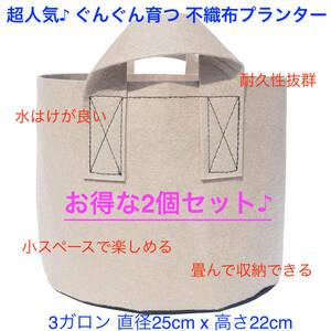 [送料無料&新品未使用] 不織布プランター 3ガロン 植木鉢 9号 不織布ポット 栽培袋 プランター フェルト ベージュ 2個セット