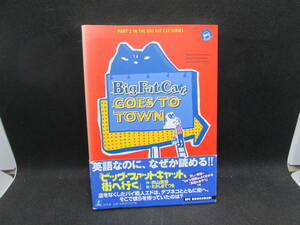 BIG FAT CAT GOES TO TOWN　向山貴彦/たかしまてつを 著　幻冬舎　E6.231102　