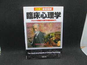 カラー版 徹底図解　臨床心理学　フロイトの理論から現代の臨床事例まで　新星出版社　A8.231110　