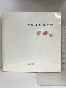 Art hand Auction [Catalogue] Carnet de croquis aux crayons de couleur Keiichi Kitazato 2010, Peinture, Livre d'art, Collection, Livre d'art