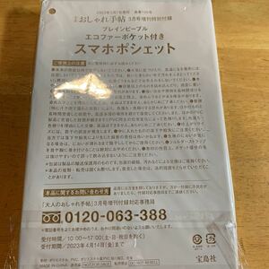 大人のおしゃれ手帖 2023年 3月号 増刊 付録PLAIN PEOPLE エコファーポケット付き スマホポシェット