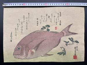 【真作】本物浮世絵木版画 初代 歌川広重「魚づくし 鯛」大判 錦絵 保存良い