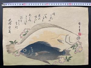 【真作】本物浮世絵木版画 初代 歌川広重「魚づくし ひらめ・めばるに桜」大判 錦絵 保存良い