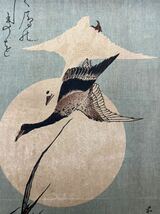 【真作】江戸期 本物浮世絵木版画 葛飾北斎「月に雁」長判 保存良い_画像5