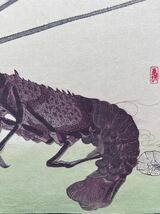 【真作】本物浮世絵木版画 初代 歌川広重「魚づくし 伊勢海老」大判 錦絵 保存良い_画像5