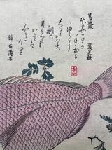 【真作】本物浮世絵木版画 初代 歌川広重「魚づくし 鯛」大判 錦絵 保存良い_画像6