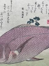 【真作】本物浮世絵木版画 初代 歌川広重「魚づくし 鯛」大判 錦絵 保存良い_画像5