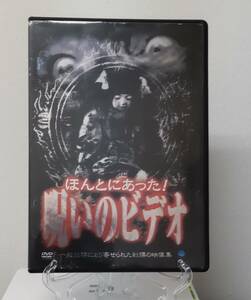 11-5　ほんとにあった! 呪いのビデオ（邦画）BWD-1274 レンタルアップ 中古 DVD 