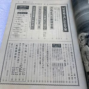 週刊読売 スポーツ 1962年8月10日号 野村克也 張本勲 長嶋茂雄 力道山 他 美品の画像3