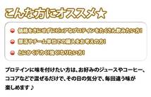 【送料無料】ソイプロテイン10kg【たんぱく含有率90%以上】大豆プロテイン100%_画像6