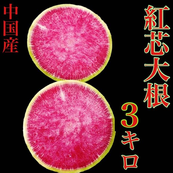 中国産　紅芯大根　3キロ　約3個から8個　送料無料