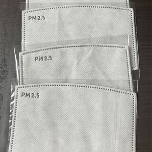 PM2.5 マスクフィルター 未使用 4枚セット
