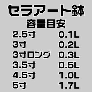 塊根植物 多肉植物 観葉植物 培養土 1リットル 1L 極小粒 超硬質 三本線 赤玉土 ひゅうが土 桐生砂 ゼオライト 富士砂 園芸用土の画像6