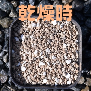塊根植物 多肉植物 観葉植物 培養土 1リットル 1L 極小粒 超硬質 三本線 赤玉土 ひゅうが土 桐生砂 ゼオライト 富士砂 園芸用土の画像2