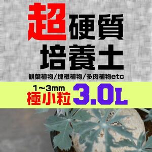 塊根植物 多肉植物 観葉植物 培養土 3リットル 3L 極小粒 超硬質 三本線 赤玉土 ひゅうが土 桐生砂 ゼオライト 富士砂 園芸用土