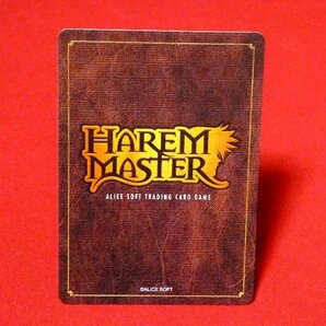 ハーレムマスター HAREM MASTER TradingCard カードトレカ 森田愛 528の画像2
